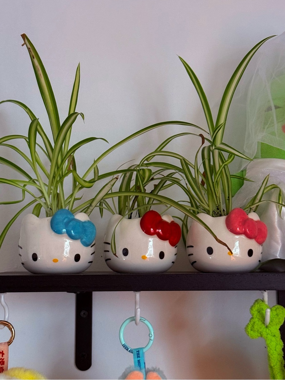 Official Sanrio Hello Kitty Ceramic Planters Set - Red Pink Blue Bow RARE